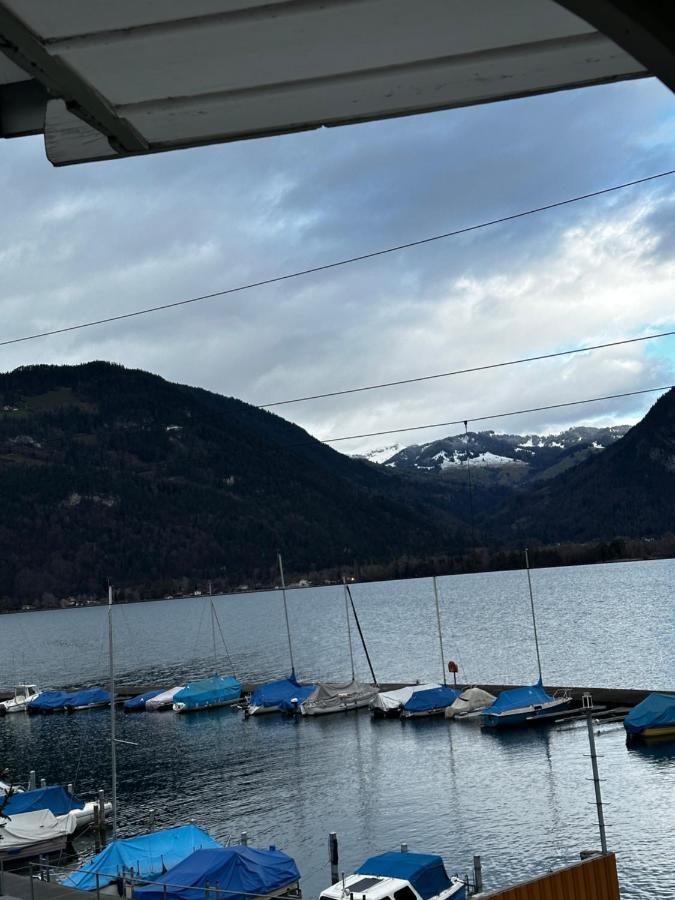 Swiss Lake Mountains Apartments Darligen Exterior photo